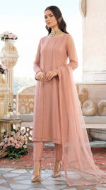 Rozaib Rose Peach Panel Net Kurta – Seam Piping Edition (3 Piece)