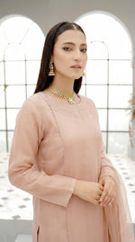 Blush Nude Long Straight Organza Frock Set