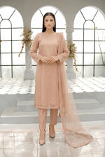 Blush Nude Long Straight Organza Frock Set