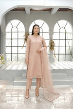 Blush Nude Long Straight Organza Frock Set