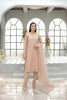 Blush Nude Long Straight Organza Frock Set