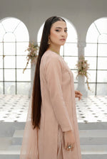 Blush Nude Long Straight Organza Frock Set