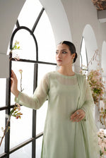 Soft Pistachio Flow Slit Chiffon Frock Set