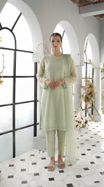 Soft Pistachio Flow Slit Chiffon Frock Set