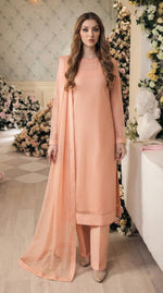 Rozaib Soft Peach Cut-Box Net Kurta – 3 Piece Set