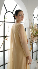 ROZAIB Biscuit Nude luxury Bareeze net long straight shirt stitched suit. This premium ready to wear stitched dress features ultra-fine 0.3mm micro-jali net texture, master-tailored straight seams, and a clean round neckline. A minimalist 3-piece stitched suit for women in a warm neutral beige tone, paired with raw silk cigarette trousers and an airy Bareeze net dupatta. Designed for a clean, sophisticated festive look with zero embroidery and precision stitching.
